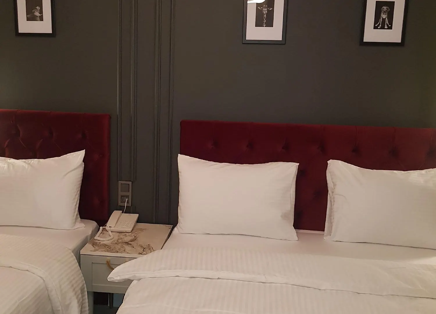 Selenay Hotel & Spa Istanbul 3*,